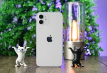 voltaje cargador iphone 12