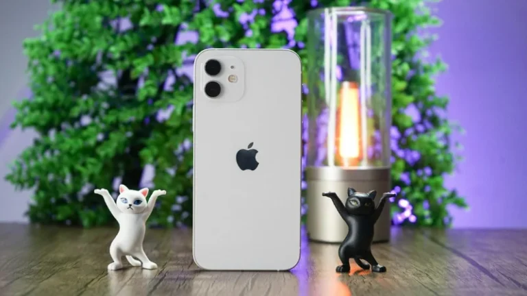 voltaje cargador iphone 12